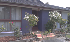 Wall 9